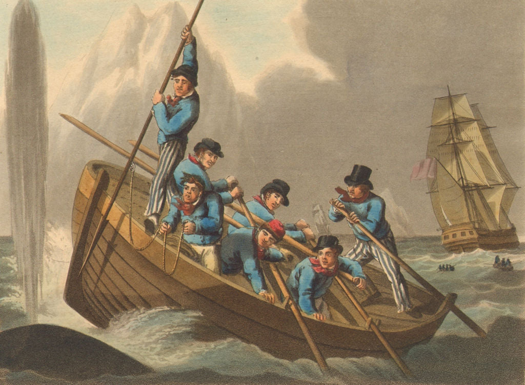 WHALING 1. Ship's boat approaching whale (Field Sports- Edward Orme)  1814